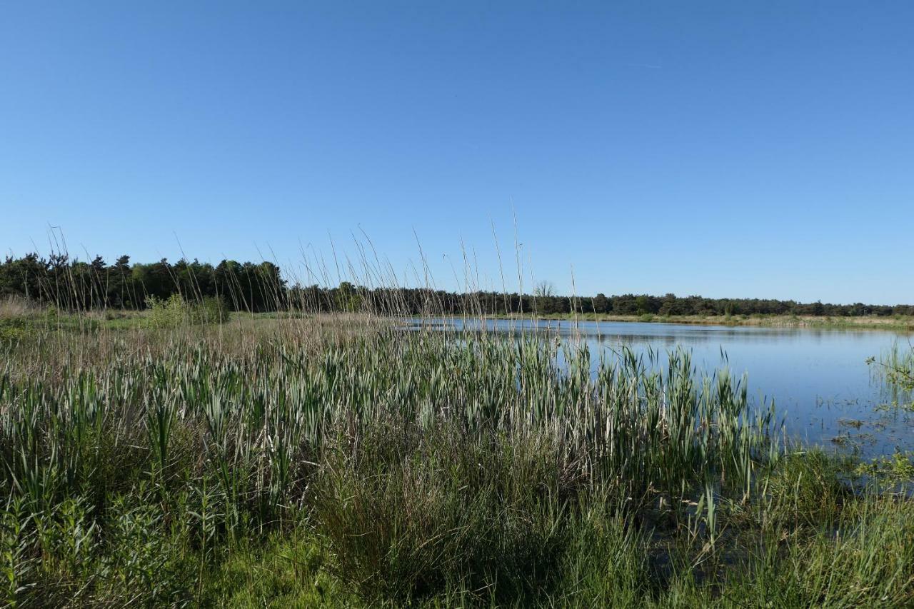 Willa Erve Eshuus Daarle Zewnętrze zdjęcie